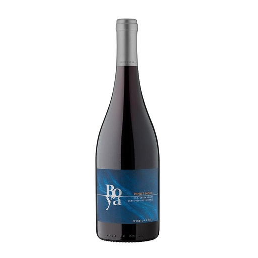 [1818] VINO GARCES SILVA BOYA PINOT NOIR 2021 750 ML